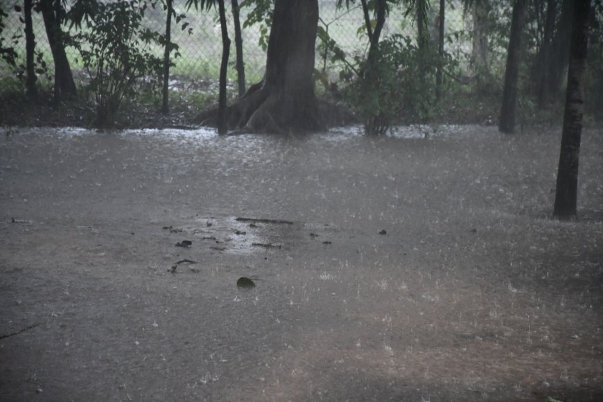 Members of the Public Warned to Brace for Heavy Rains