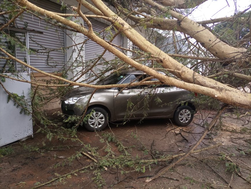 Heavy downpour leaves several businesses counting losses 