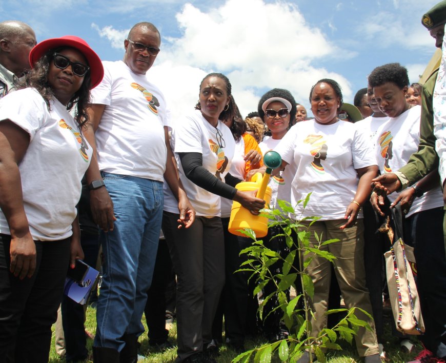 Cabinet Secretaries to champion rapid tree planting activities in Counties