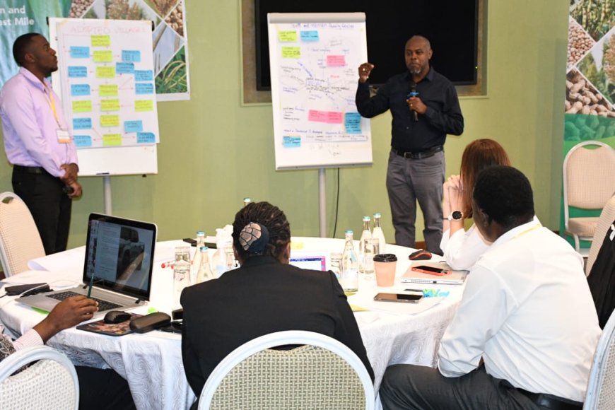 Harnessing innovation and data to ensure seed delivery