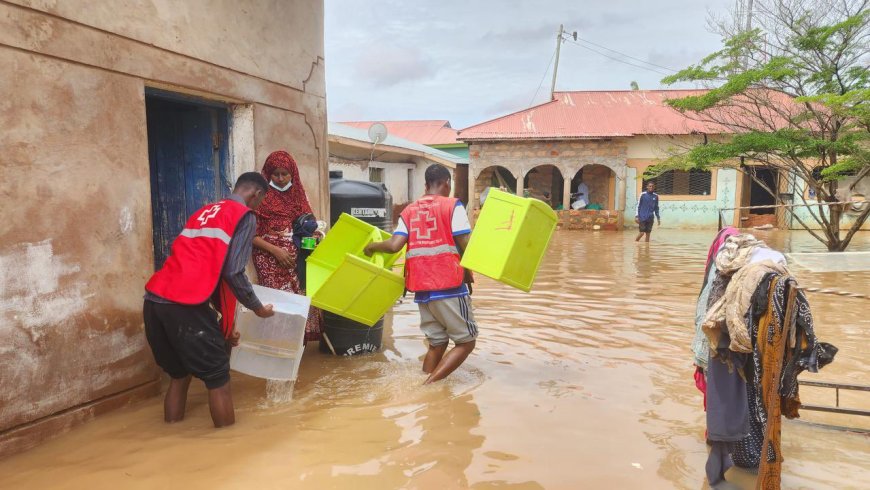 El Nino to last until April 2024 – WMO