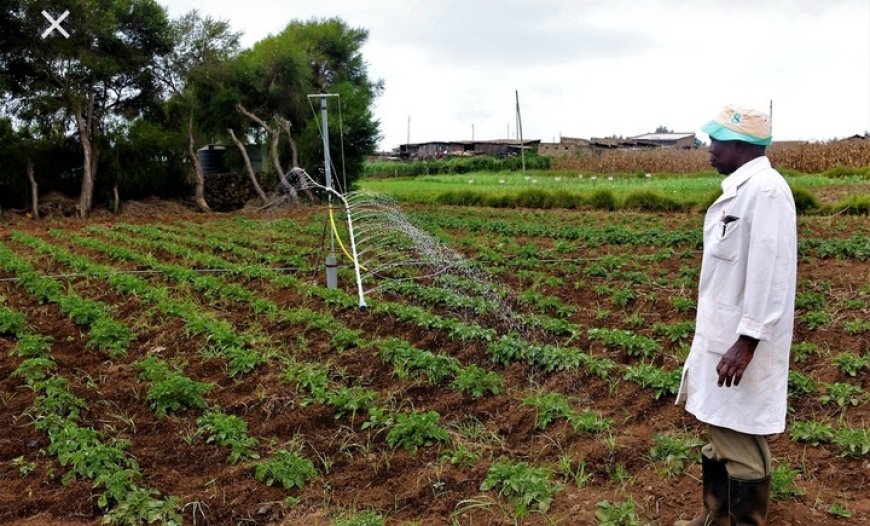 West Pokot Agricultural Show held with calls on residents to embrace modern farming techniques