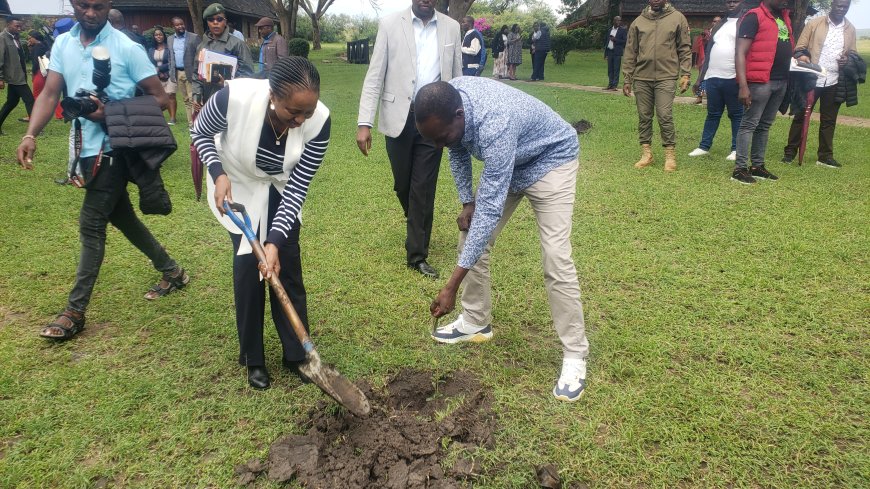 Governors urged to lead in tree planting agenda