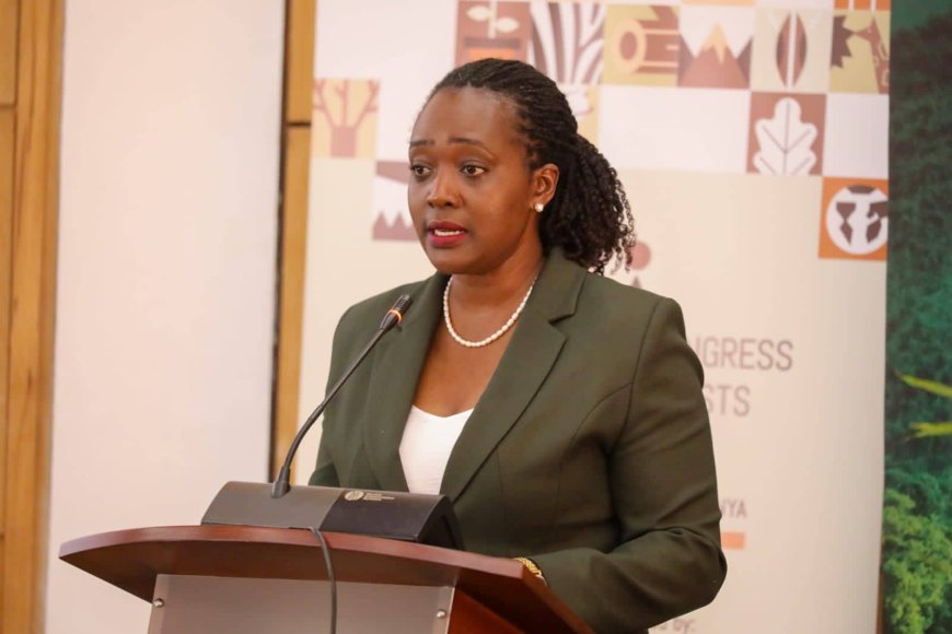 CS Tuya: We aim to grow 100 million trees on Monday