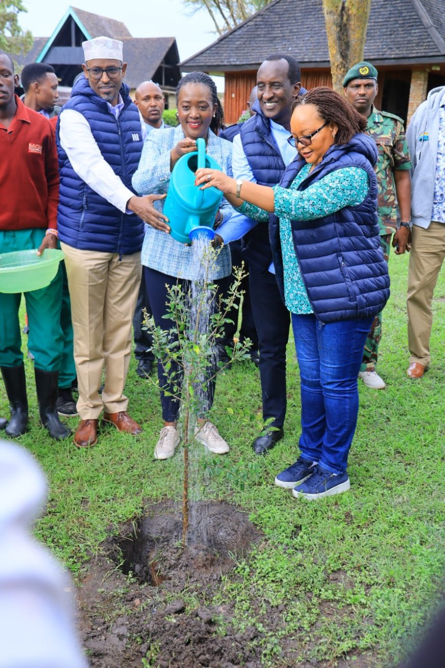 Residents urged to plant trees