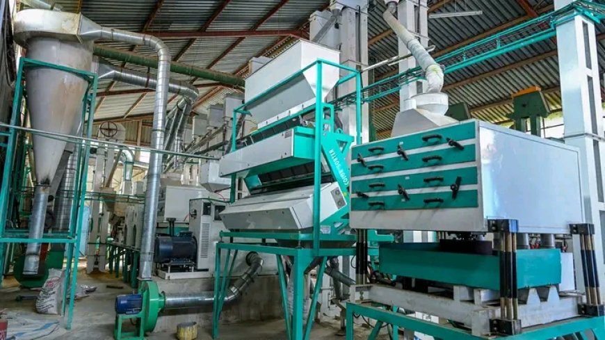 Kisumu County Government installs Rice mill at Ahero Irrigation Scheme