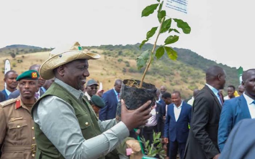 All set for National tree Planting day