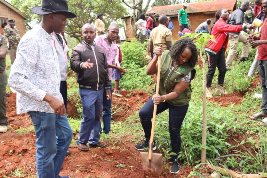 Makueni residents urged to plant trees