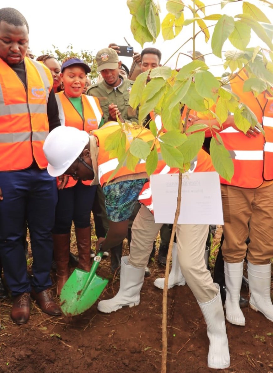 Cooperatives Societies urged carry out tree planting monthly