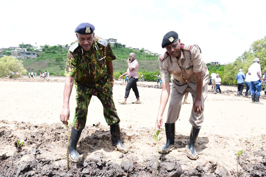 Mombasa marks tree planting day with focus on Mangrove