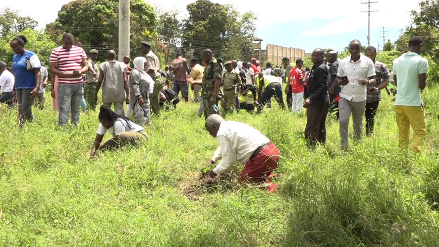 Government warns Malindi residents against charcoal business