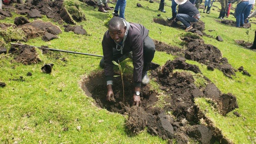 Millions of Kenyans spent their holiday in their homes planting trees