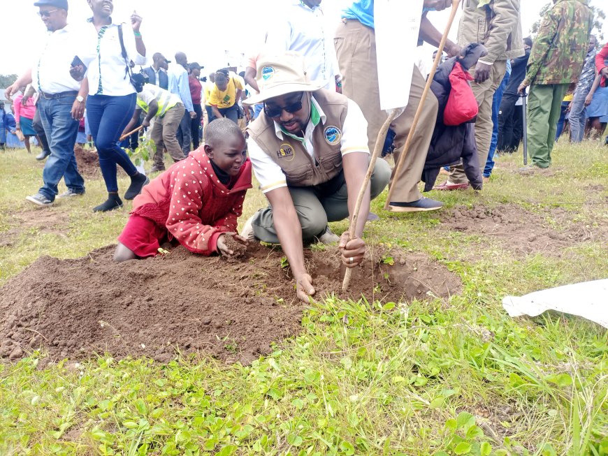 Health PS underscores the value of trees in promoting health