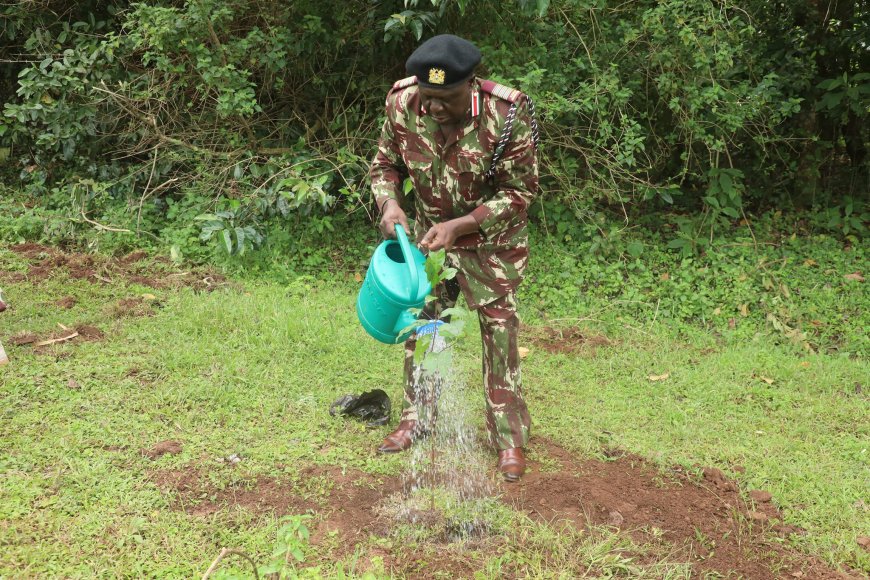 Twenty-three Million Trees to Be Planted in Vihiga in 10 Years