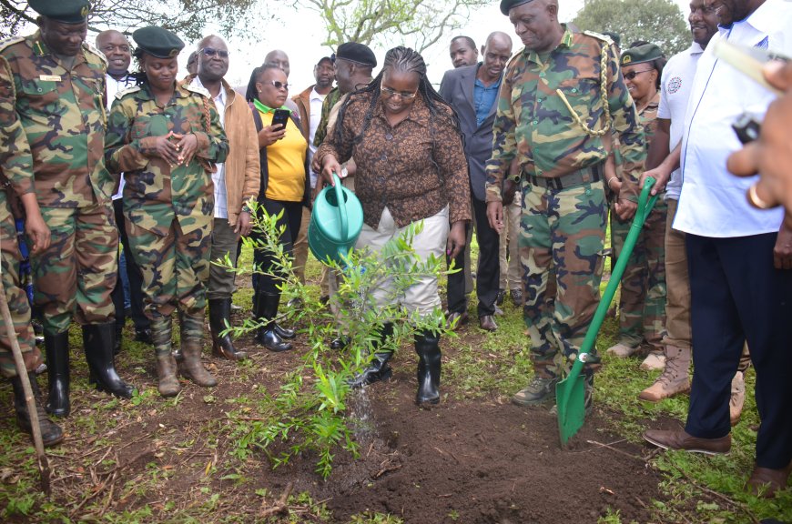 CS urges residents to incorporate tree planting exercises even in their private events