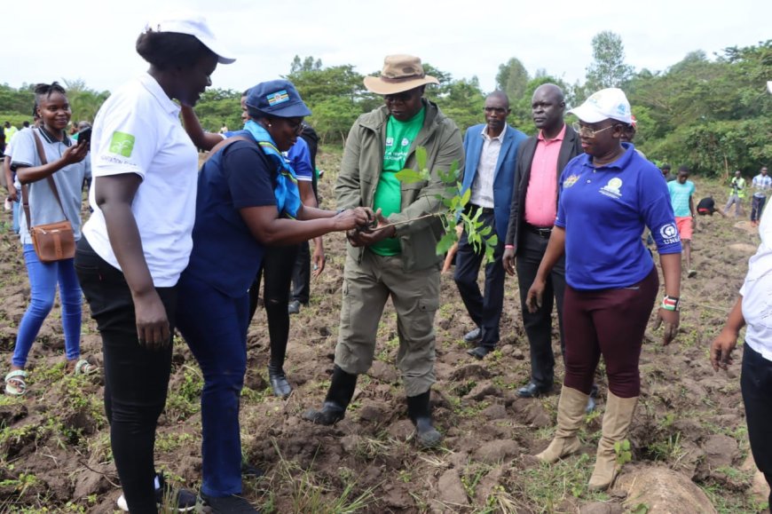 Adhere to environmental laws, Kenyans told