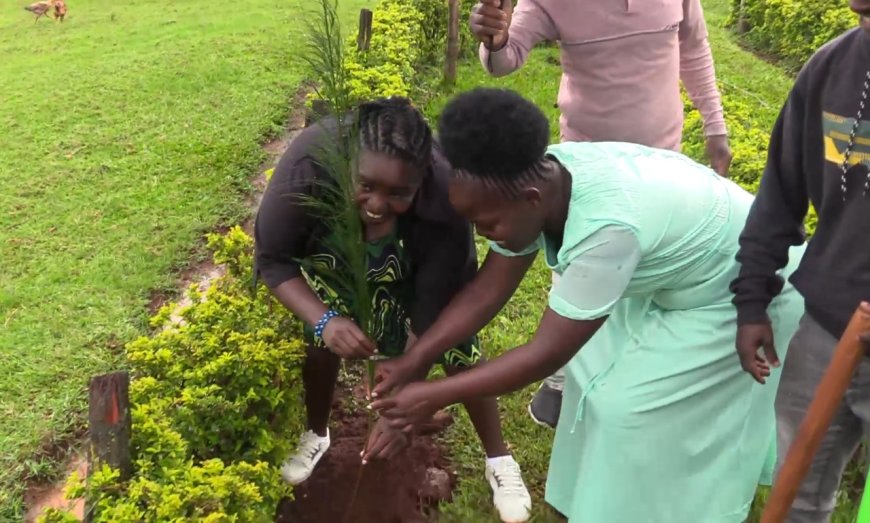 356,000 trees planted in Machakos during the National Tree Planting Day