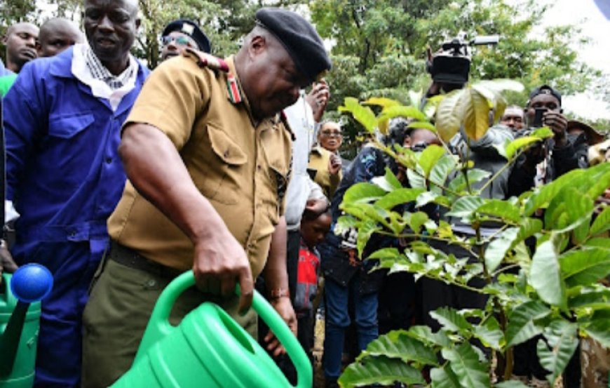 Residents Plant Fruit Trees in School to Curb Malnutrition