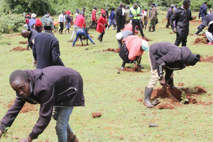 Members of public urged to embrace tree planting to combat effects of climate change