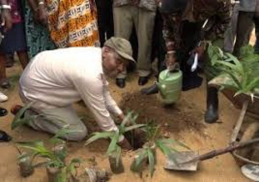 NIS boss, Haji leads Garissa residents in planting trees