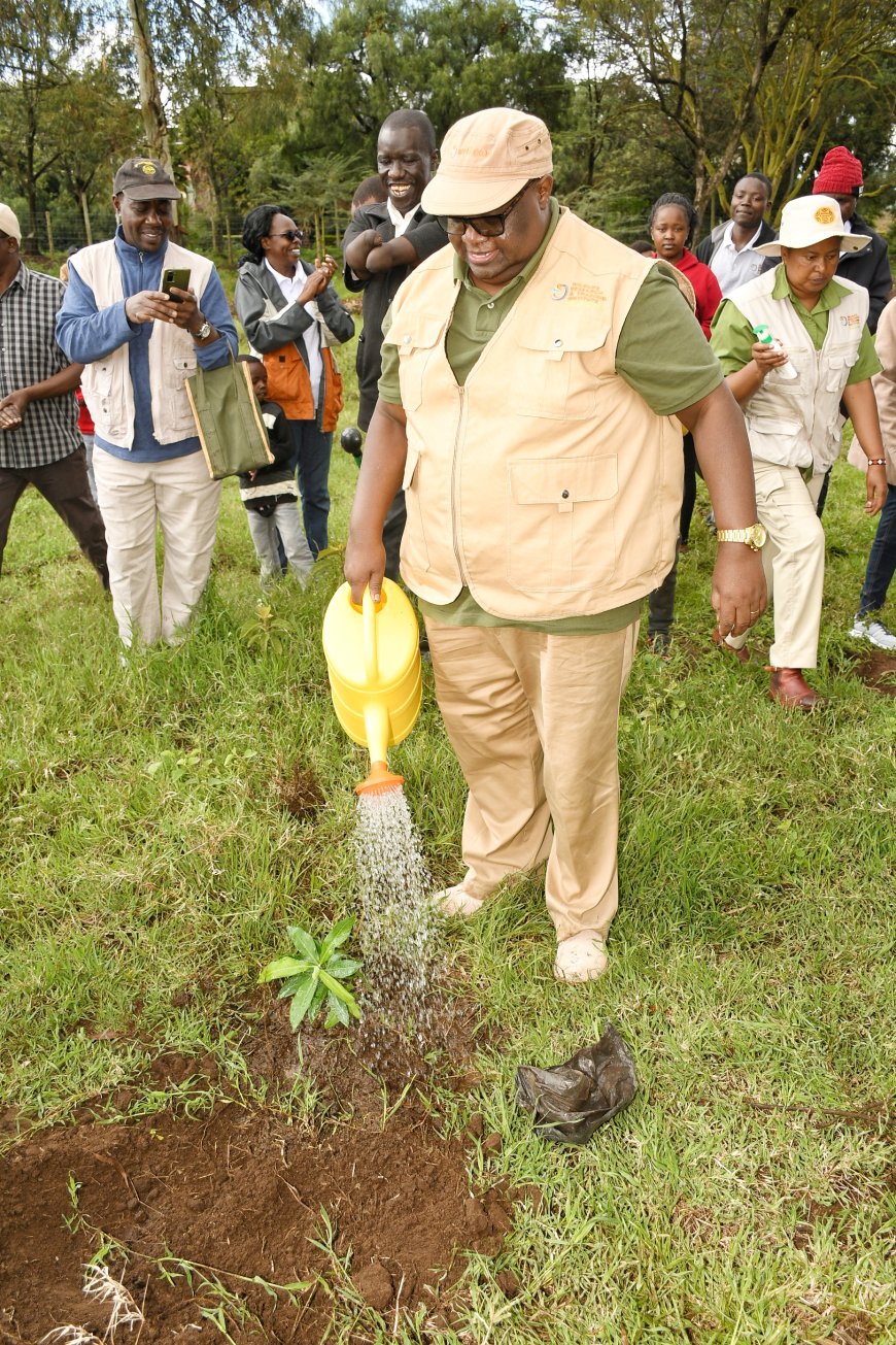 Government scale-up monitoring systems on the impact of El Nino in game parks and Sanctuaries