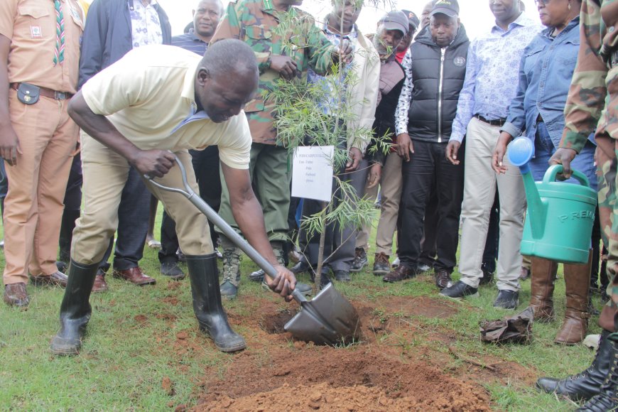 Kenyans urged to take tree growing as an economic activity