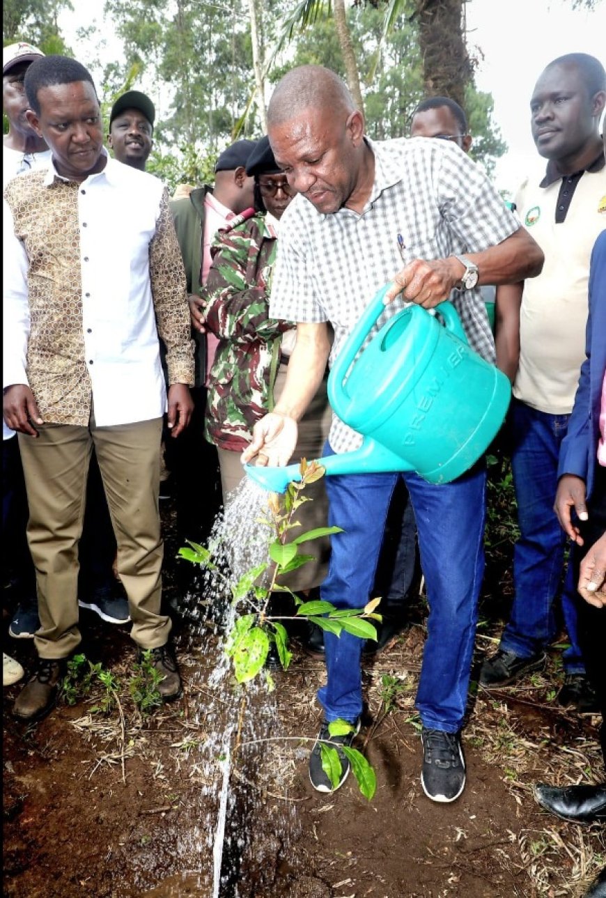 Taita Taveta joins in the National Tree Planting Holiday