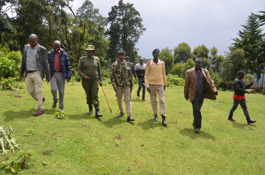 Baringo Residents condemn tree species contributing to food insecurity