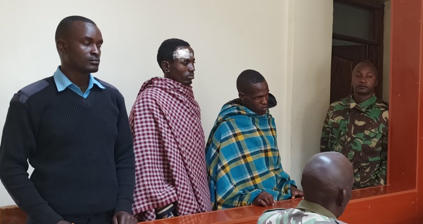 Two arraigned in Maralal court for illegal possession of ivory