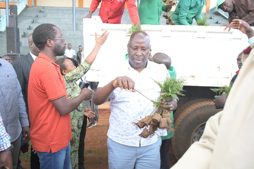 Nyamira residents advised to tap wealth from tree planting