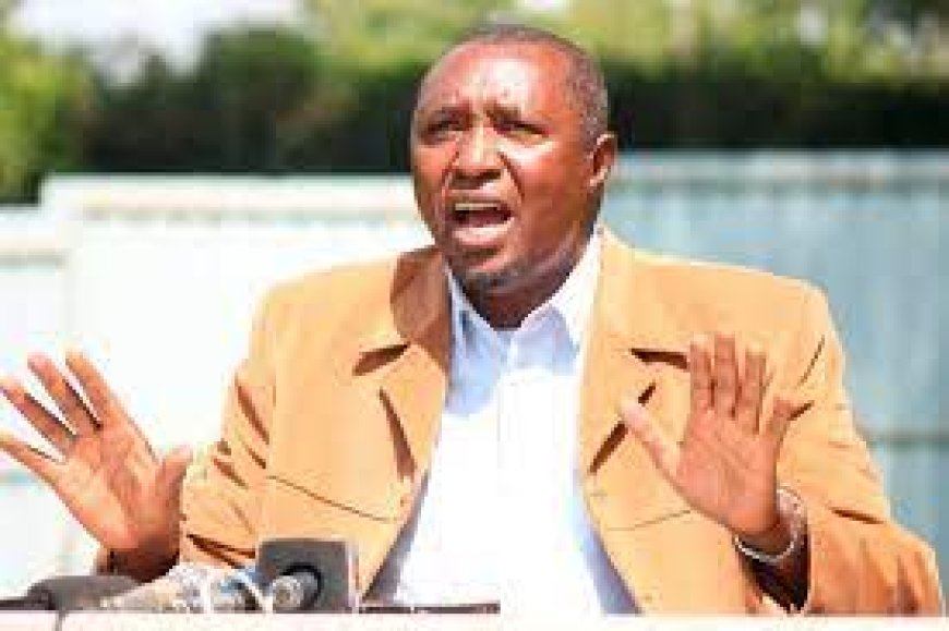 UDA Grass-roots Elections Not Timely, Kimani Ngunjiri