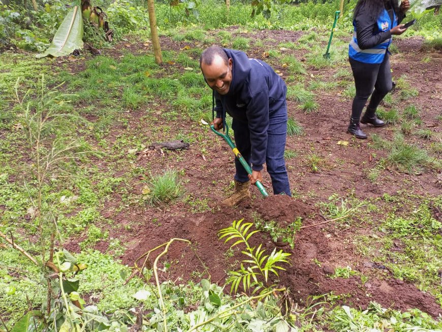 TARDA donates 11,000 tree seedlings to Iveti, Machakos