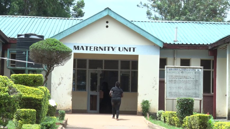 Women urged to seek medical assistance to curb preterm delivery