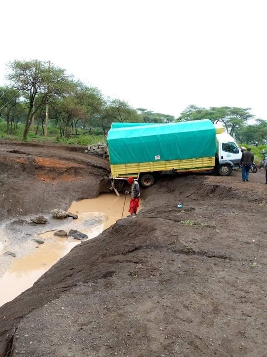 Kajiado Farmers count losses as produce rots in fields following heavy downpour