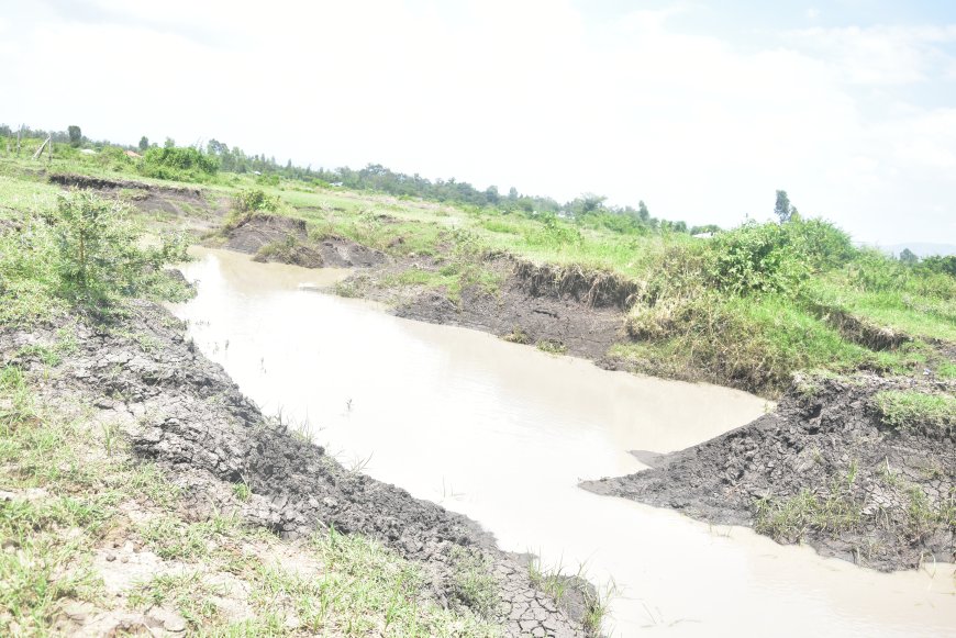 NEMA restores over 15 farms from illegal sand harvesting activities