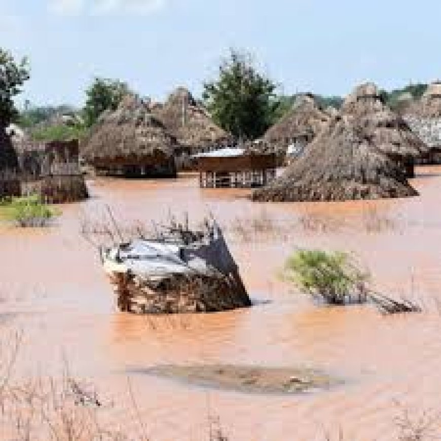 Floods victims demand permanent settlement on higher grounds to end perennial displacements