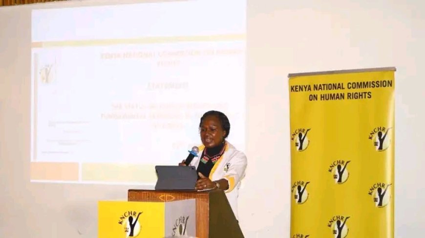 KNCHR Urges Government to Boost Health Budget Over Poor Services