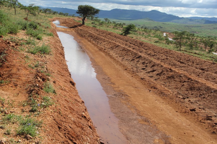 Pastoralists innovate land restoration techniques