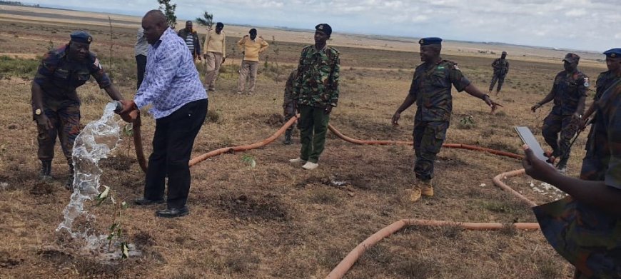 About 283, 000 tree seedlings planted in forest land in Narok