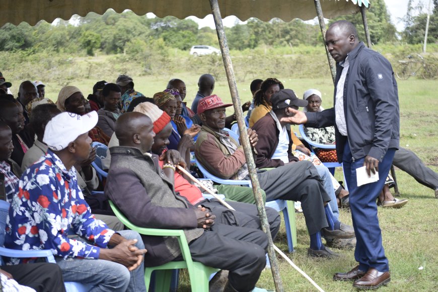 Governor urges residents to diversify agriculture