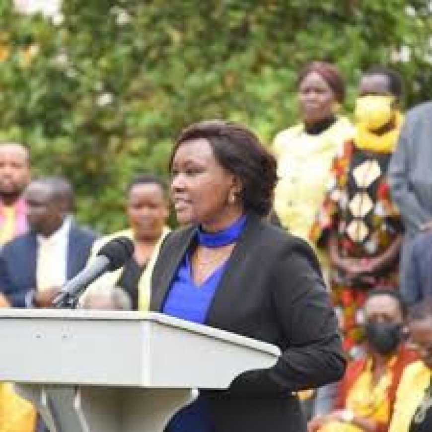 Governor admonishes county enforcement officers to be courteous