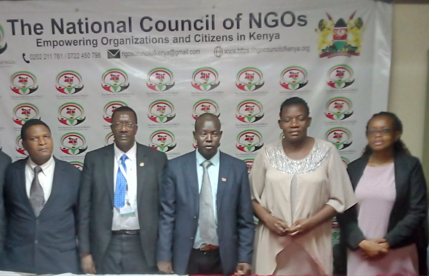 NGO Council calls for establishment of floods alert systems