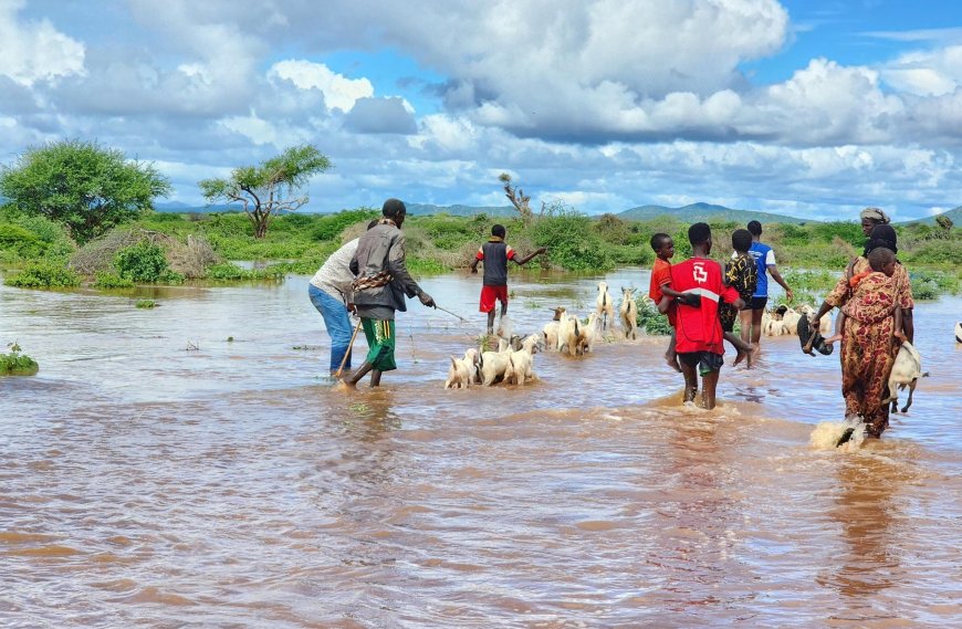 Homabay MPs appeal for government support as village is swept by floods