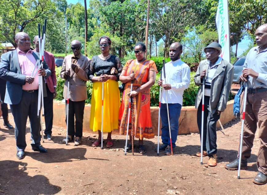 Allocate more funds for persons with disabilities, government urged