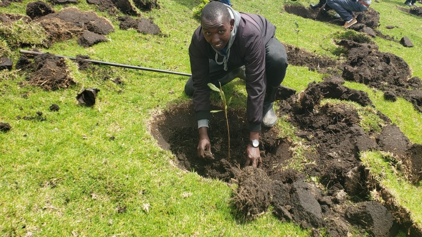 Heads of Departments challenged to take lead in planting trees