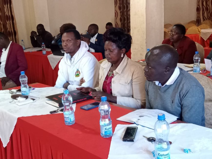 Disaster Committee urges County Assembly to establish emergency fund