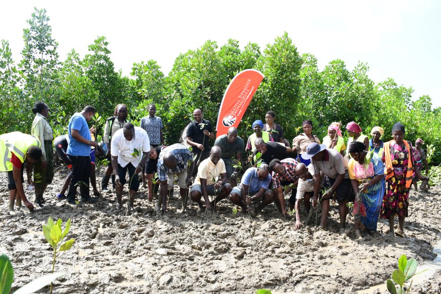 KRA collaborates with local Community in environmental conservation