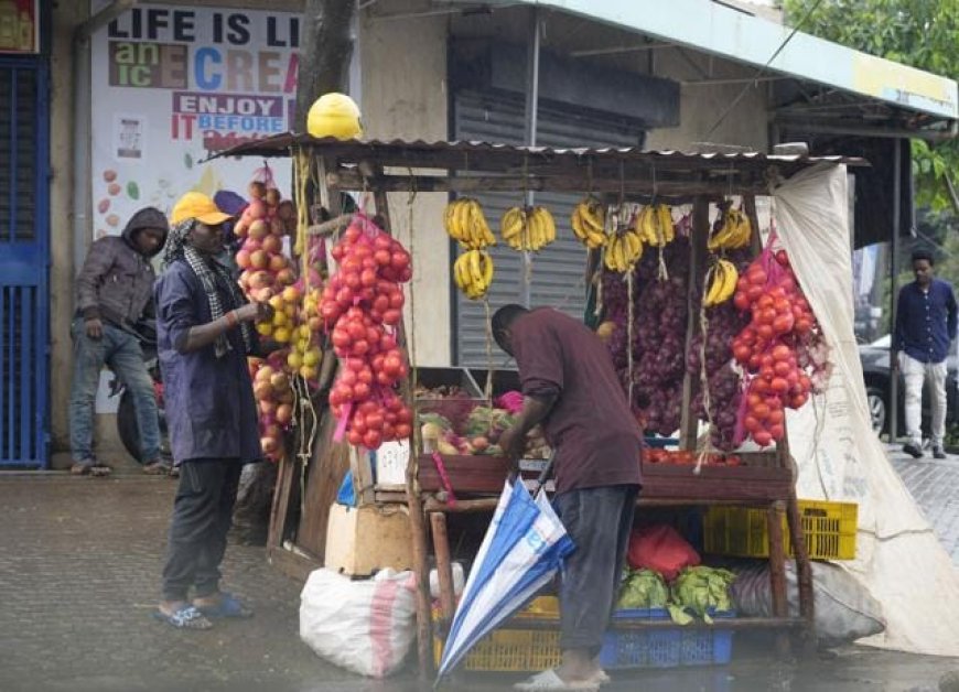 CBO Union's Innovative Initiatives Break the Chains of Poverty in Busia County