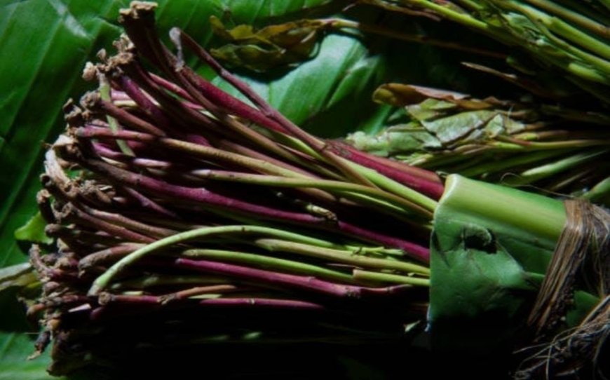 Miraa transporters directed to obtain operating licenses