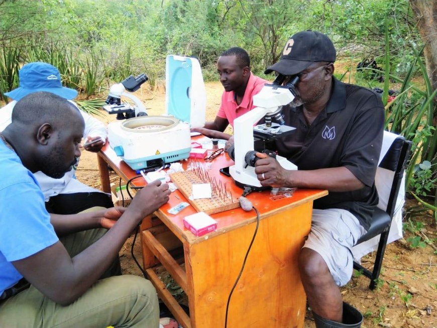 KENTTEC intensifies campaign to combat tsetse flies and trypanosomiasis in Turkana County